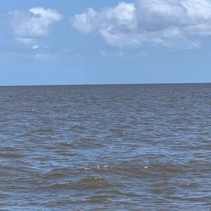 Meet your Posher, Shan